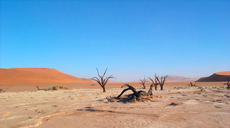 کویر رضا آباد